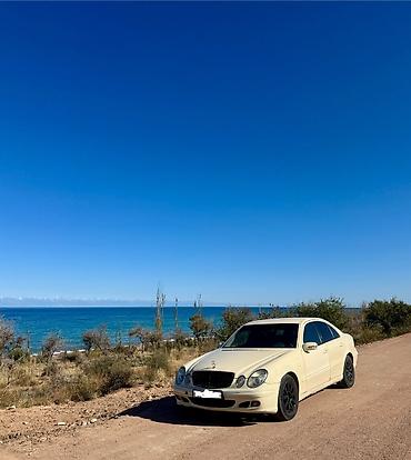 bmw m3 e46: Mercedes-Benz E-Class: 2006 г., 2.2 л, Автомат, Дизель, Седан — 7