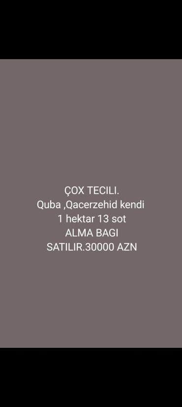 Kommersiya daşınmaz əmlakının satışı: Çox tecili satilir