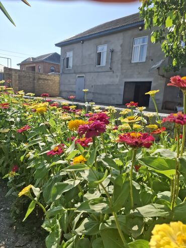 аренда дома на длительный срок: 4 otaqlı, 170 kv. m, Kredit yoxdur, Yeni təmirli