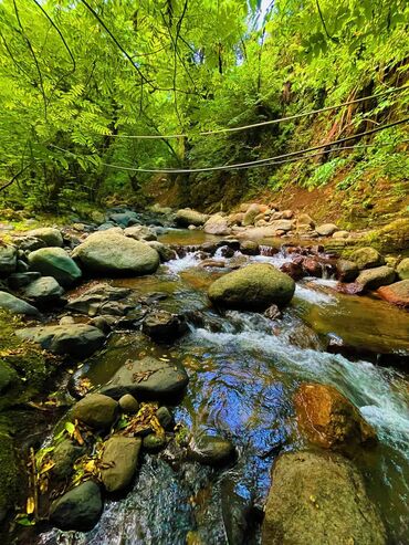Bağ evlərinin kirayəsi: 100 kv. m, 2 otaqlı, Hovuzsuz, Qaz, İşıq, Su — 10