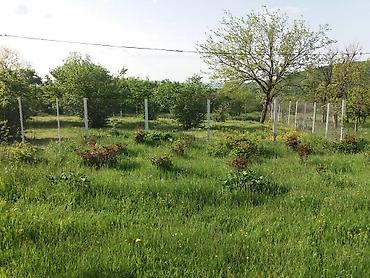yeni yasamalda kiraye ev: Oğuz rayon Calut kəndində 3 otaqlı mənzil satılır istəyən əlaqə — 4