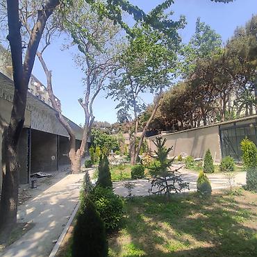 bakıda kabinetli restoranlar: Xırdalan şəhəri, AAAF Park yaşayış kompleksi, sıx gediş-gəlişli əsas — 7