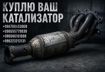 can hacker: Катализатор сатып алабыз, эн кымбат баада катализатор, Куплю Скупка — 1