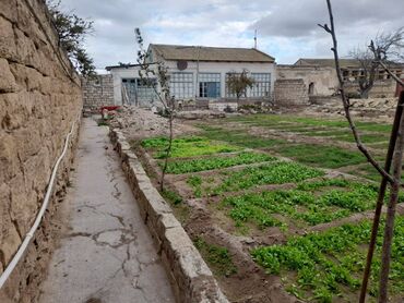 Həyət evləri və villaların satışı: 3 otaqlı, 130 kv. m, Orta təmir — 7