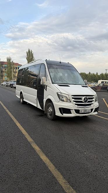 ешка 124: Пункт назначения: Все направления, Лицензия №: 28605100426 — 2