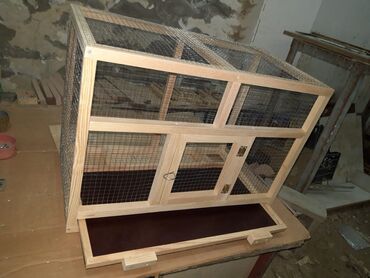 котят в добрые руки: Təzə yıxılma fərqli ölçülərdə qəfəsler.uzunluq 50sm-1metriyecen