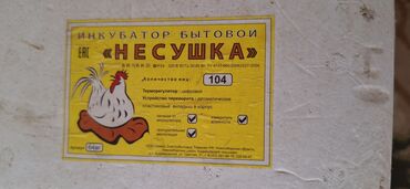 оборудование для шелкографии бишкек: Бытовой инкубатор «НЕСУШКА» предназначен для инкубации яиц. Модель