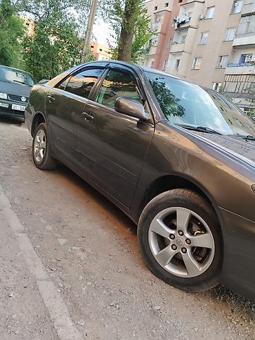 Toyota: Toyota Camry: 2004 г., 2.4 л, Автомат, Бензин, Седан — 4