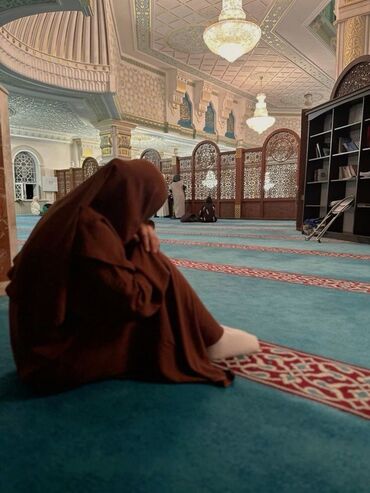 отдам алабая в хорошие руки: Ассалам Алейкум братья и сёстры Прошу помощи нуждаемся в продуктах