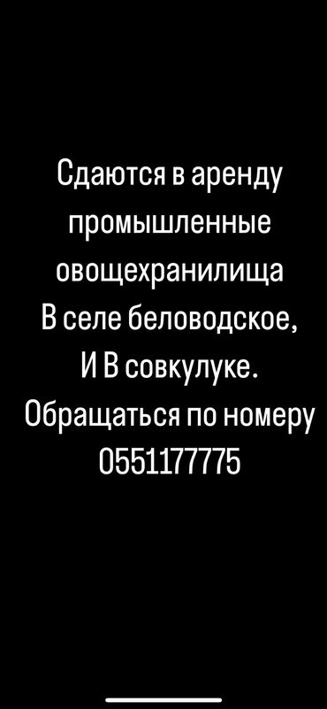 холодилник зил: Сдаю холодильное овощехранилище!