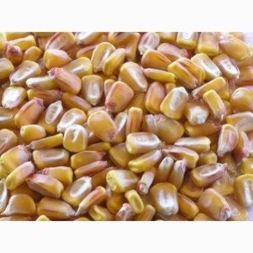 продажа кукуруза: Продается кукуруза рушенная. Обращаться по след. телефону