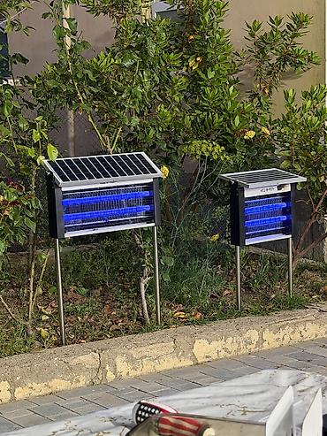 qarisqa: Həşərat öldürən, Yeni, Ünvandan götürmə, Pulsuz çatdırılma, Ödənişli çatdırılma — 1