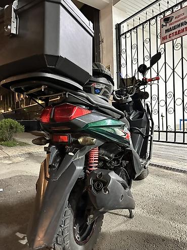 Скутеры: 🛵 Samurai 150cc — тяга зверская, едет как надо! 💪 Разгон бодрый — 6