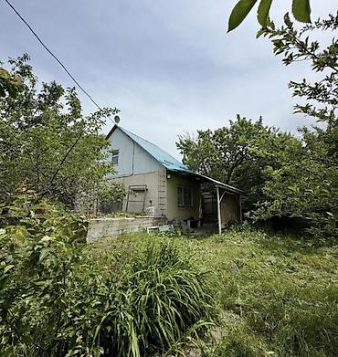 Продажа дачи: 🏡🔥 ПРОДАЁТСЯ ДАЧА В ТАШ-МОЙНОКЕ! ДТ: «Мичуринец» 🌿 💥 Участок — 6 — 8