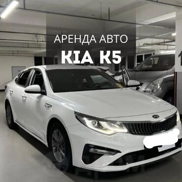 аренда авто киа к5: Сдаю в аренду: Легковое авто, Под такси