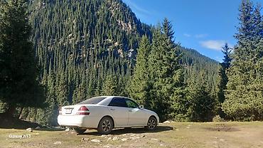 e53 amg: Toyota Mark II: 2002 г., 2.5 л, Автомат, Бензин, Седан — 4