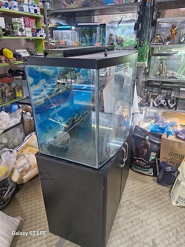 Akvariumlar: Akvarium-şkaf, Boş, 210 l, Ödənişli çatdırılma, Pulsuz çatdırılma — 5