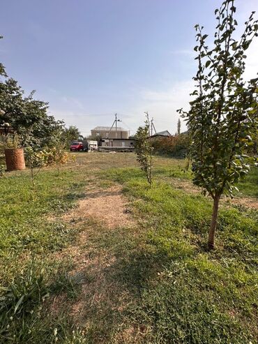 Продажа участков: 8 соток, Для строительства, Красная книга, Тех паспорт — 3