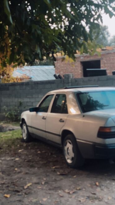 мерседес актрос продажа: Mercedes-Benz W124: 1988 г., 2.3 л, Механика, Бензин, Седан