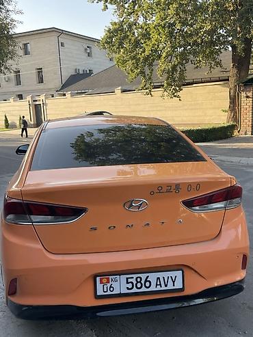 оранжевая соната: Hyundai Sonata: 2020 г., 2 л, Автомат, Газ, Седан — 2