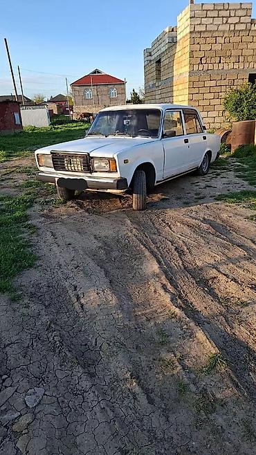 Riyal alıcı narahat eləsin boş boş yazmayın at lalafo.az — 1 Riyal alıcı narahat eləsin boş boş yazmayın — 1