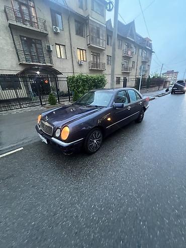 дерево мерс: Mercedes-Benz E-Class: 1998 г., 2.8 л, Механика, Бензин, Седан — 2