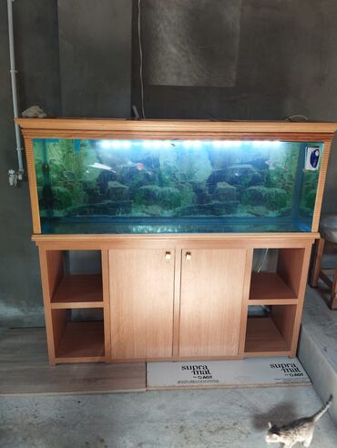 akvarium balıqları: Akvarium dolabiyla yenidir 
olcusu :170x165x50