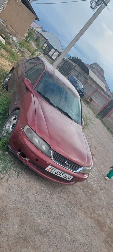 Opel: Opel Vectra: 1998 г., 1.6 л, Механика, Бензин, Седан