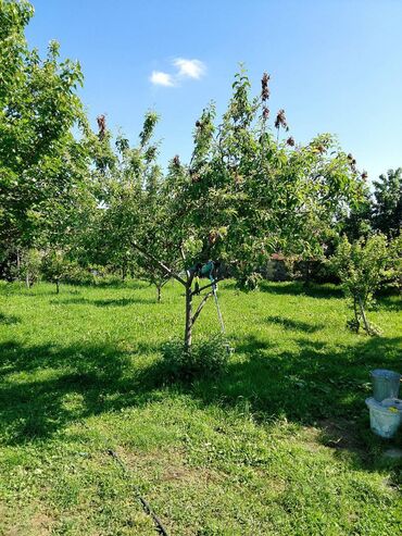 Həyət evləri və villaların satışı: 5 otaqlı, 24 kv. m, Kredit yoxdur, Orta təmir — 27