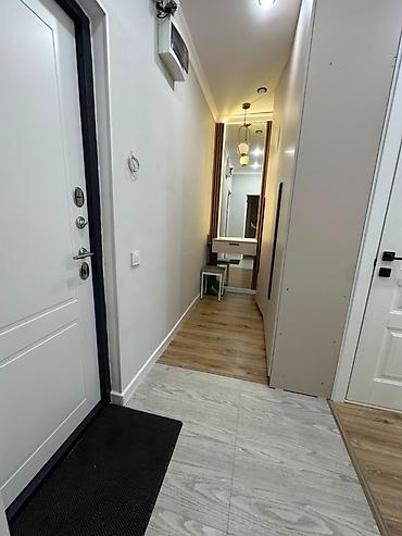 1к: 1 комната, 53 м², Технопарк 106 серия, 5 этаж, Евроремонт — 3