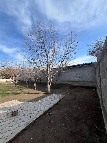 Продажа участков: 10 соток, Для бизнеса, Красная книга, Тех паспорт — 4