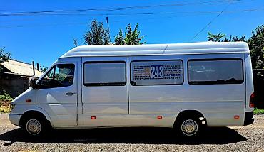 transporter multivan: Mercedes-Benz Спринтер: 2005 г., 2.2 л, Механика, Дизель, Бус — 5