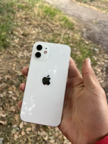 поко ф2 про цена в бишкеке: IPhone 12, Колдонулган, 64 ГБ, Ак, Каптама, 100 %