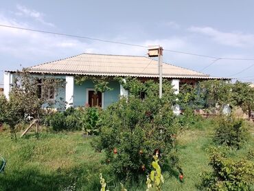 Həyət evləri və villaların satışı: Həyət evləri və villaların satışı — 11