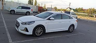 changan кыргызстан: Hyundai Sonata: 2020 г., 2 л, Автомат, Газ, Седан — 2