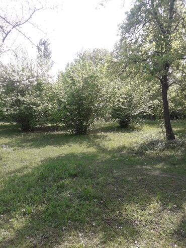 mingecevirde kiraye evler ucuz: Bu torpaq sahəsi ekoloji cəhətdən təmiz bir ərazidə yerləşir və