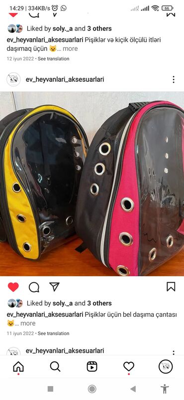 Pişiklər: Erkək, Dişi -da lalafo.az — 20 Pişiklər: Erkək, Dişi — 20