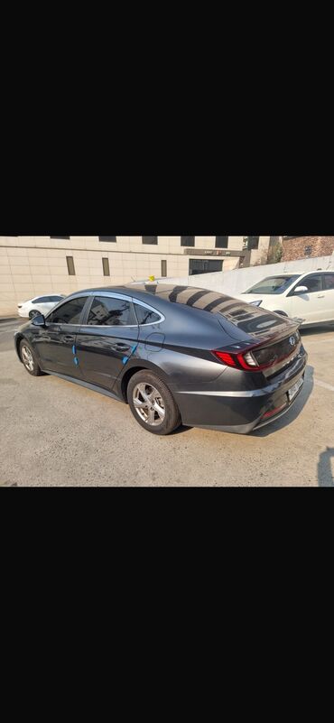 машине фит: Hyundai Sonata: 2019 г., 2 л, Автомат, Газ, Седан