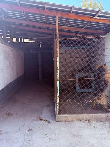 дом ыссык куле: Продаётся жилой дом - Одноэтажный дом с отдельным входом — 10