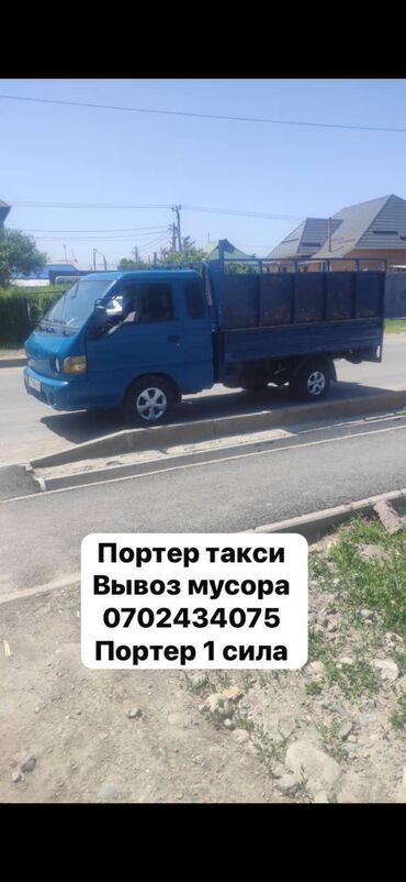 черная британская кошка: Вывоз мусора вывоз мусора вывоз мусора вывоз мусора вывоз мусора вывоз