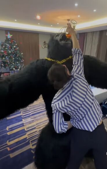 дед мороз на дом бишкек: Организация мероприятий | Аниматоры