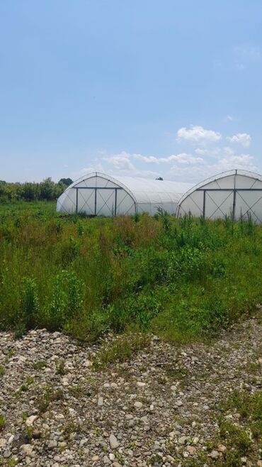 stanovi na prodaju petrovac na mlavi: 75 sq. m, 3 bedroom
