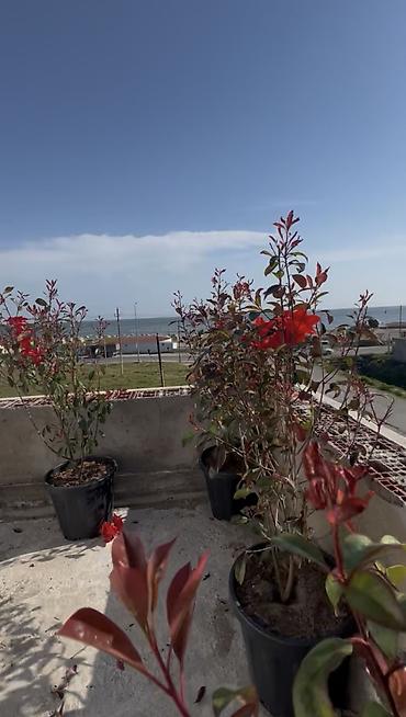 Həyət evləri və villaların satışı: Hövsan qəs. 5 otaqlı, 200 kv. m, Kredit yoxdur, Təmirsiz — 13