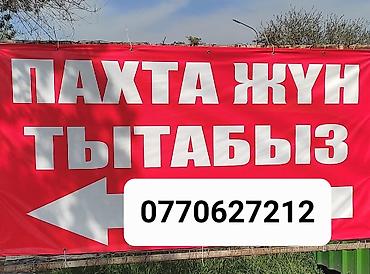 прием ваты: Пахта Кебез Вата ЖУН ТЫТАБЫЗ. расчёска ваты и шерсти. эски пахта — 1
