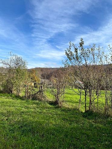 Torpaq sahələrinin satışı: 18 sot, Kənd təsərrüfatı, Kupça (Çıxarış) — 3
