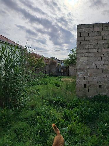 masazirda heyet evleri 2024: Satılır: yarımçıq tikili və həyət sahəsi - Material: daş hörgü - — 3