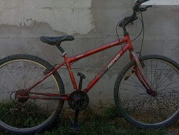 Городские велосипеды: Городской велосипед, Рама XS (130 -155 см), Другой материал, Другая страна, Новый