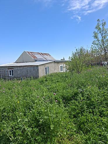 Torpaq sahələrinin satışı: 10 sot, Kənd təsərrüfatı, Mülkiyyətçi, Bələdiyyə — 4