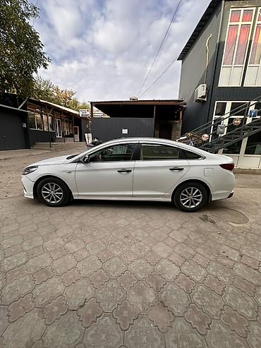 Унаа сатуу: Hyundai Sonata: 2017 г., 2 л, Автомат, Газ, Седан — 2