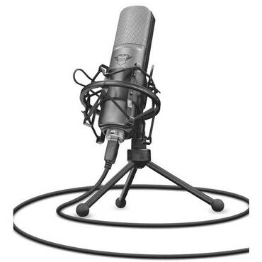 студийные колонки: Микрофон Trust LANCE GXT 242 – удобный конденсаторный прибор с черным